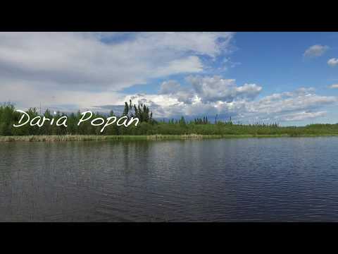 Daria Popan - Am Cautat Iubirea