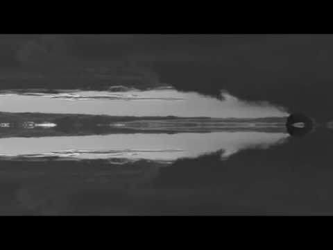 FRBDN | a b i r d i n n a t u r e