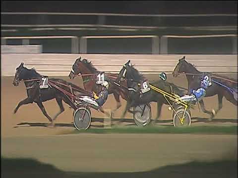 Trotto 07/12/2019 - 7ª corsa