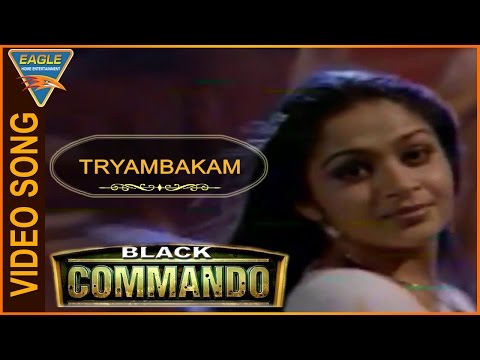 Black Commando Hindi Dubbed Movie || Tryambakam Video Song || Eagle Hindi Movies