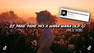 Download lagu DJ PANE PANE MIS WANA WANA OLD 🎶 sounds _Alexxslwly (Slowed & Reverb) dj old viral di tiktok❗ mp3