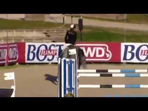 Mare - 6 yo x Cristallo I ( Cornet Obolensky )