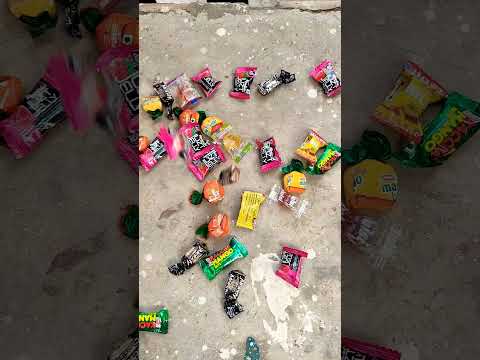 Shashwat Bhaiya Ko Mila Bhut Sari Chocolate 🍫😱