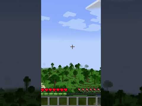 Minecraft With A Flying Broom #shorts