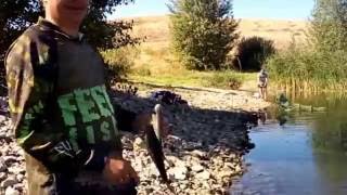 Орск ловля леща на урале