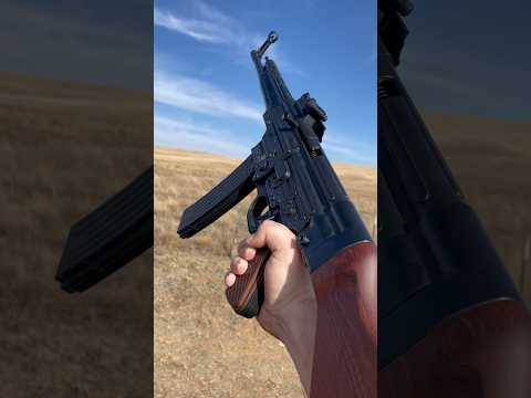 Mauser STG44 22.lr reproduction (blue-line solutions/Mauser STG)