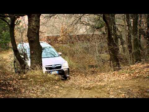 Subaru Forester 2.0 D Automatik