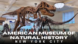 American Museum of Natural History Tour & Review | Must-See Exhibits, Tips & Full Visitor Guide NYC