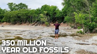 350 Million Year Old FOSSILS! | Exploring and Camping at Rock Point Provincial Park | Ontario Parks