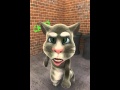 Talking Tom Cat Punch Punch Punch