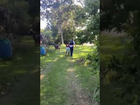 Polícia prende criminosos que estavam escondidos no interior de Linhares.