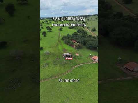 5 alqueires e 8 litros (24,68 ha) à venda no Município de Piracanjuba-GO  #agro #chacaravenda