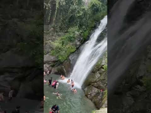 #beautifulnature #himachaltour #waterfall #water #nature #indiantour #river #travel #indiantravel