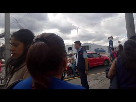 Pelea afuera de Parque Delta Chico de In-Seguridad golpea a clientes.