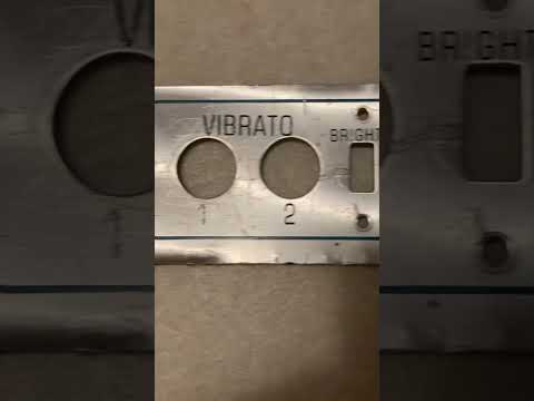 Fender Faceplate Master Volume 70's - silver image 2
