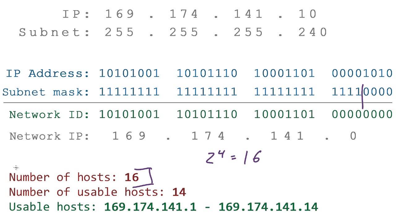 Computer Networking Tutorial - 26 - Network IP Address