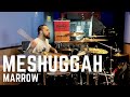 ELOY CASAGRANDE | MESHUGGAH - MARROW (drums playthrough)