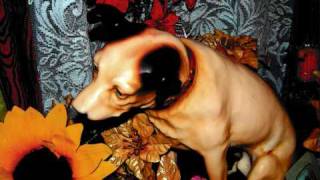 Memphis Minnie,Down In The Alley,