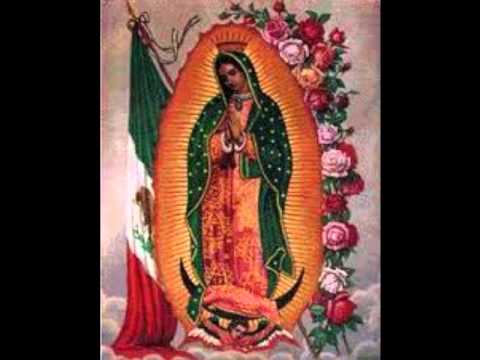 Los Tigres Del Norte-Buenos dias paloma blanca (2010 12/12