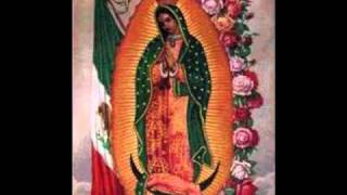 Los Tigres Del Norte-Buenos dias paloma blanca (2010 12/12