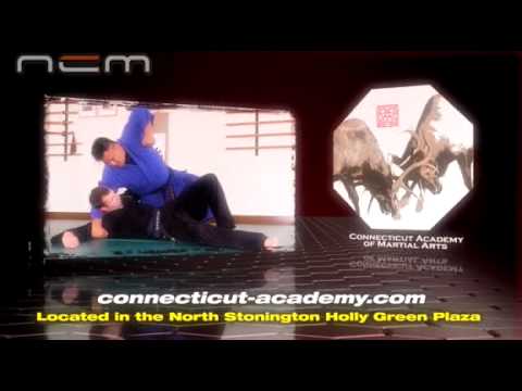 Seizan Ryu - Connecticut Academy of Martial Arts Ad.mpg