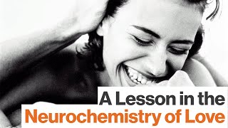 How Your Brain Rewards Love Is a Double-Edged Sword