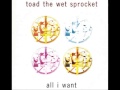 Toad The Wet Sprocket - All I Want (Remix)