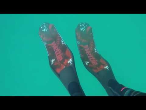 Remuera Hunters Club, Episode Nine: Stewart Island 2.0