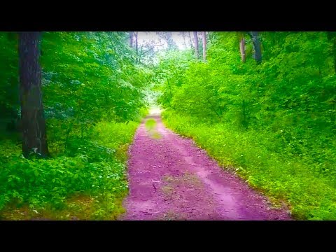 Sondeln mit dem Pr.s🙋-Der "MEGAHORTFUND" macht seinem Namen alle Ehre👍!