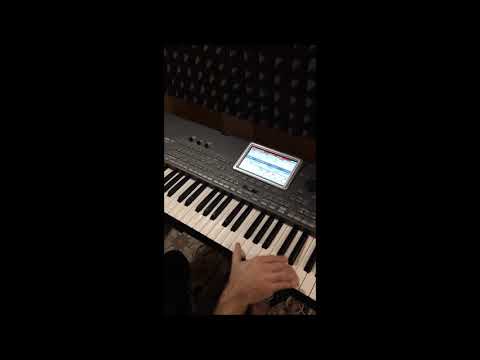 KORG DB SET 2018- Grofo style