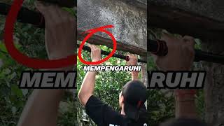 Download lagu PULL UP TUTOR FOR BEGINNERS‼️ mp3 Download lagu PULL UP TUTOR FOR BEGINNERS‼️ mp3