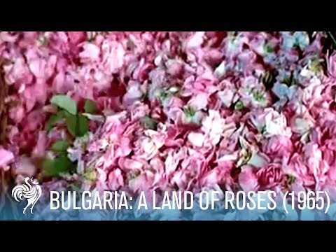 Изгубена реклама на България от 1965-а година