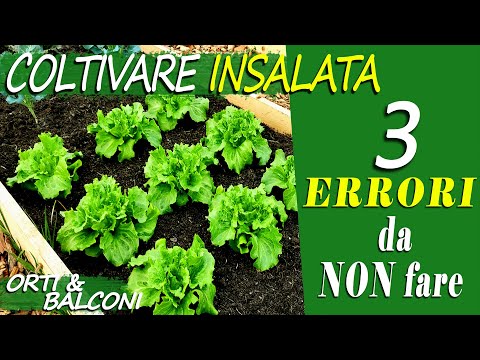 , title : 'COLTIVARE INSALATA | 3 ERRORI da NON fare | Come coltivare INSALATA in ORTO e BALCONE senza sbagli'