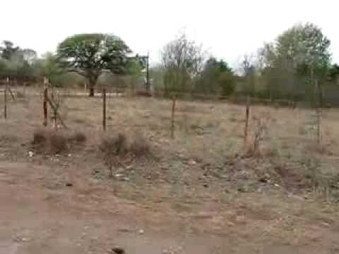 Terreno de Mariano en Dique Chico