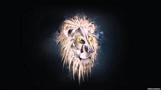 GRiZ - The Anthem [HD] ✦║Fυהk Nʌtiøη║✦