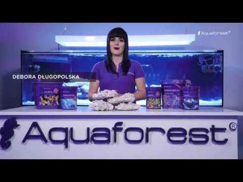 How to set up a marine aquarium with Aquaforest - EPISODE #4