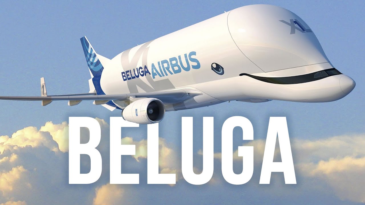 BelugaXL - Le cétacé du ciel !