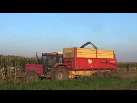 Landb. Calle - Stekene