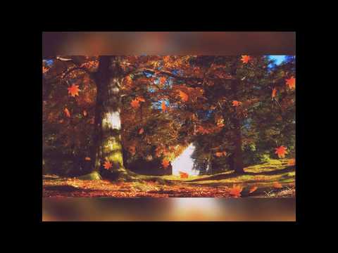 Deus vai te exaltar (Lucas Praxedes)