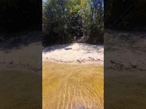 Villa Los Aromos, Córdoba Argentina 🇦🇷 #Slowwalking #Naturesounds #travel