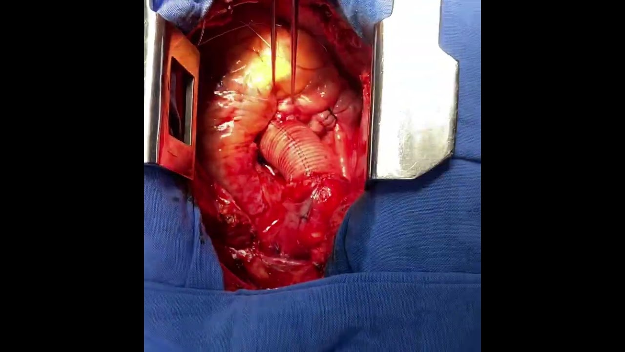 Victor Manuel Carmona Delgado-37