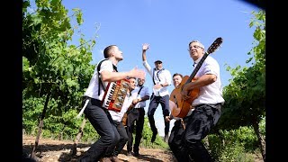 רועי ידיד & ענבי הגפן - מחרוזת חסידית 2 בהופעה (ניגון נשמה, ניגון הצמח צדק, ליבי, צמאה)