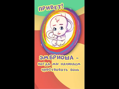Эмбриоша: когда мы начинаем чувствовать боль