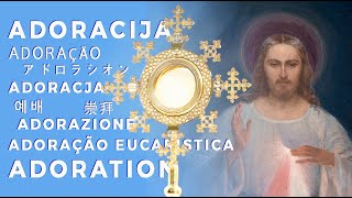 Vilnius · Dievo Gailestingumo Šventovė · the Shrine of Divine Mercy · adoracija live stream