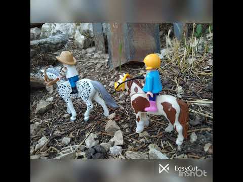 "Serie il maneggio dei pony" estate 2021// #AdyTuttoFare #Playmobil Country