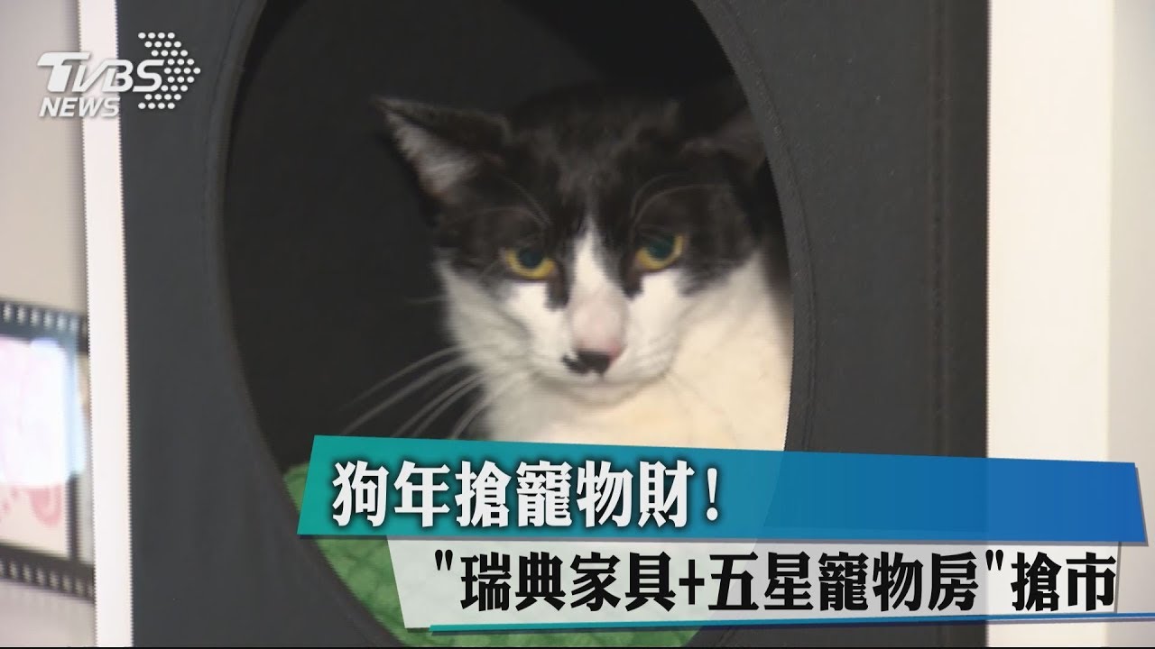 狗年搶寵物財!「瑞典家具、五星寵物房」搶市