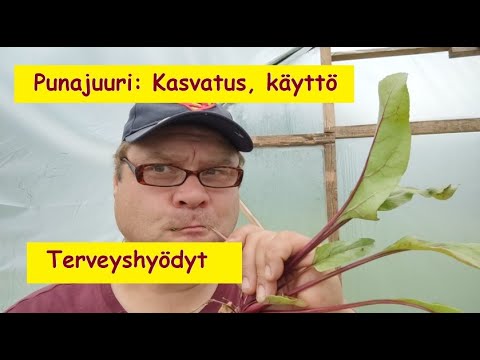 , title : 'Punajuuri - Superfoodien äiti - Kasvatus ja terveysvaikutukset'