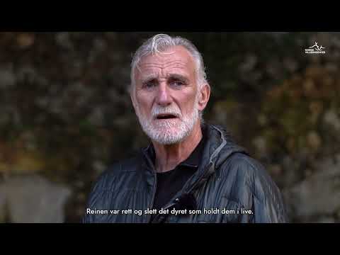 "Den lange vandringen" – neandertalerne var avhengig av rein for å overleve