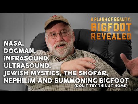 A Flash of Beauty: Tim Baker