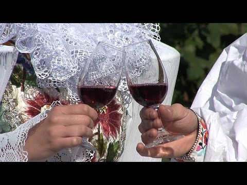 VINAŘSTVÍ ING. LUDĚK KŘÁPEK, Blatnice pod Sv. Antonínkem